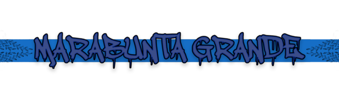 Geschichte der Marabunta Grande 13 :: MG13Bewerbung-DE02 Geschichte der Marabunta Grande 13 :: MG13Bewerbung-DE02